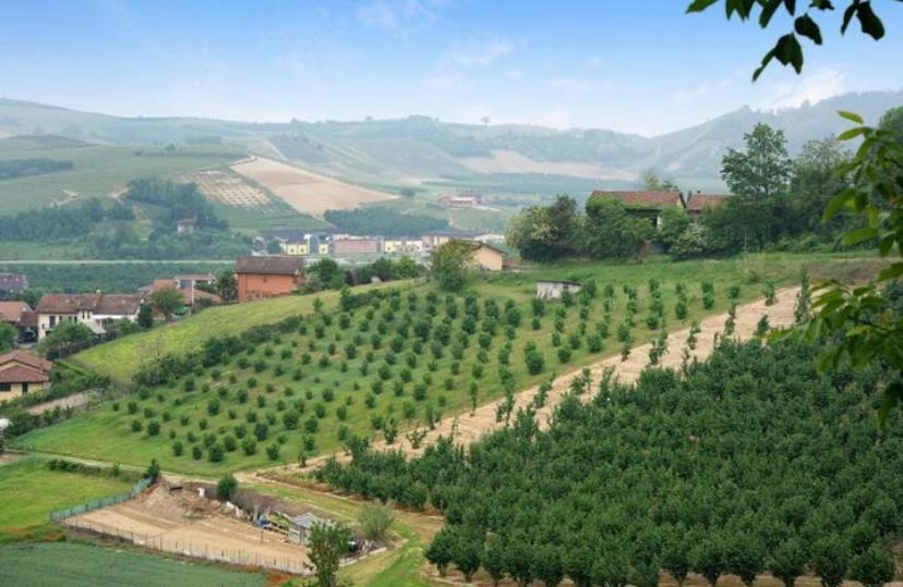 Piobesi d'Alba La Casa Rosa 아파트 외부 사진
